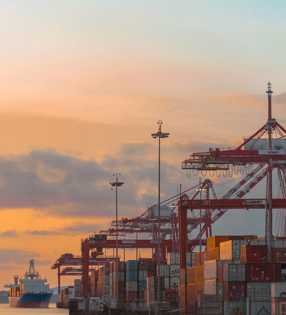 Kerala-linked export supply and international shipping